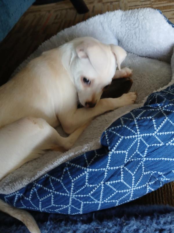 Broken but not destroyed!