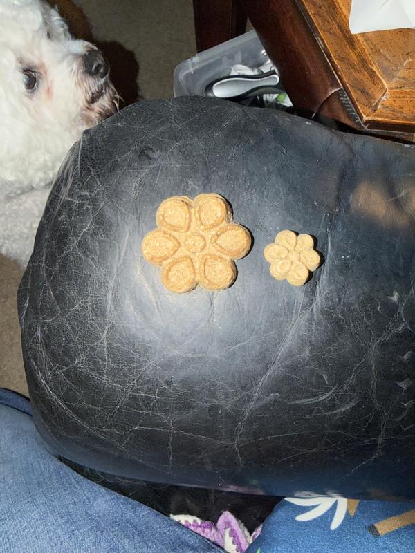 actual size difference