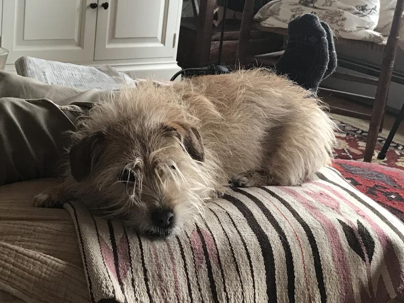 Feeling better at 15 years old!