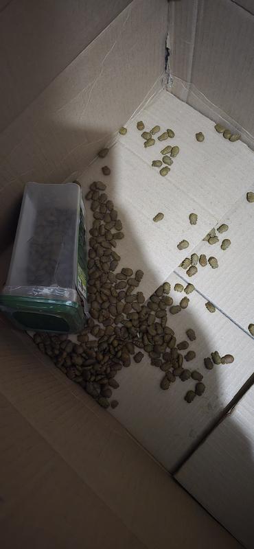 Common sense is not common these days.