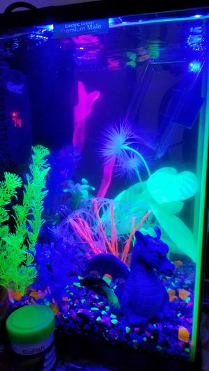 GloFish® Blue and White LED Sticks