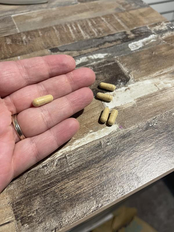 Good size vitamin that’s sturdy enough to handle a fussier pup.