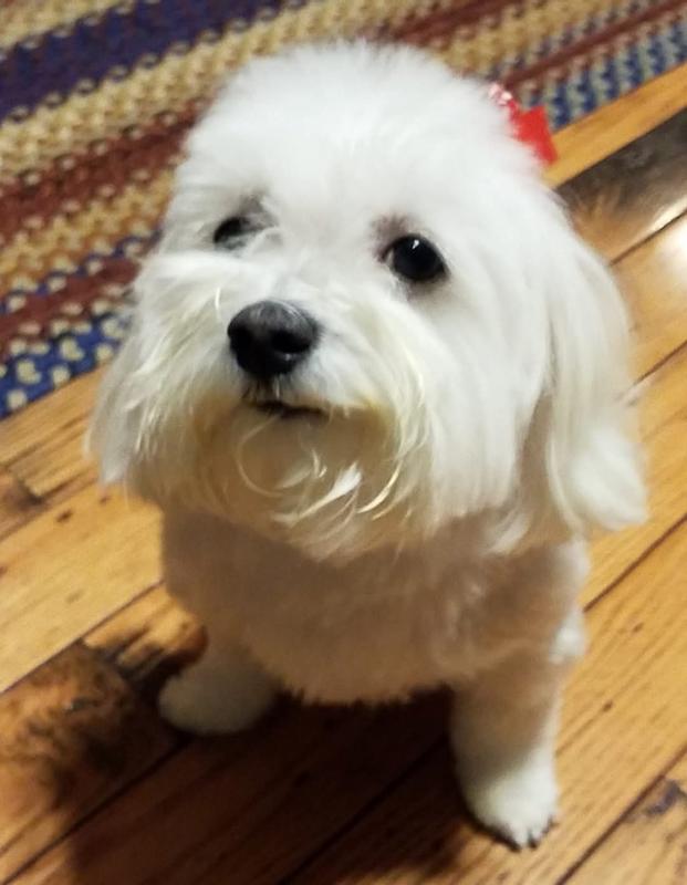 I'm waiting for the Chewy box
