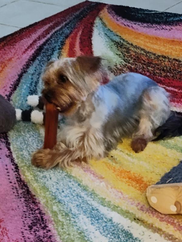 She never missed a lick or Chew