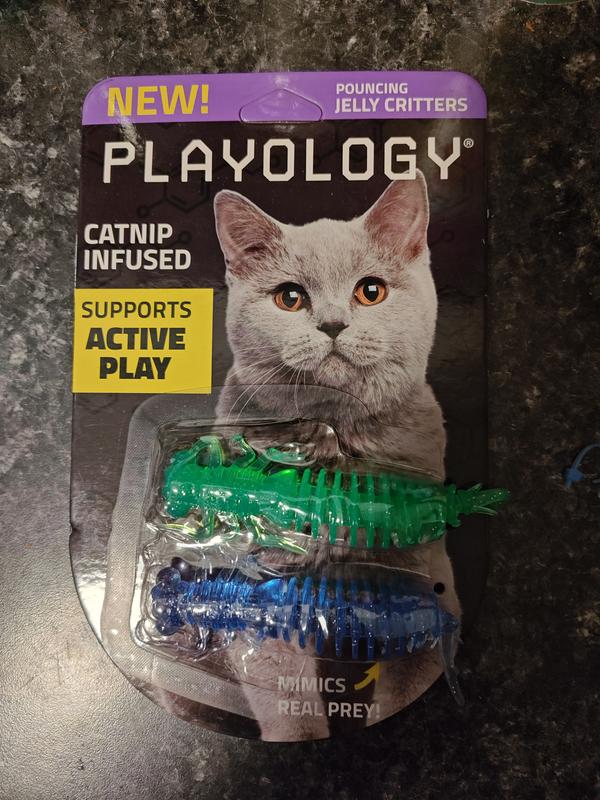 Playology Minnows Cat Toy with Catnip, 2 count