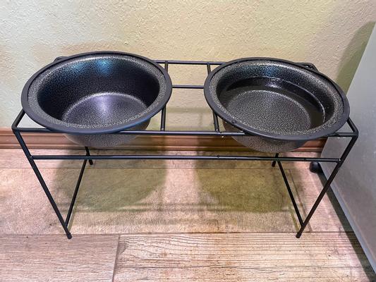 Platinum pets modern double diner outlet elevated wide rimmed pet bowls