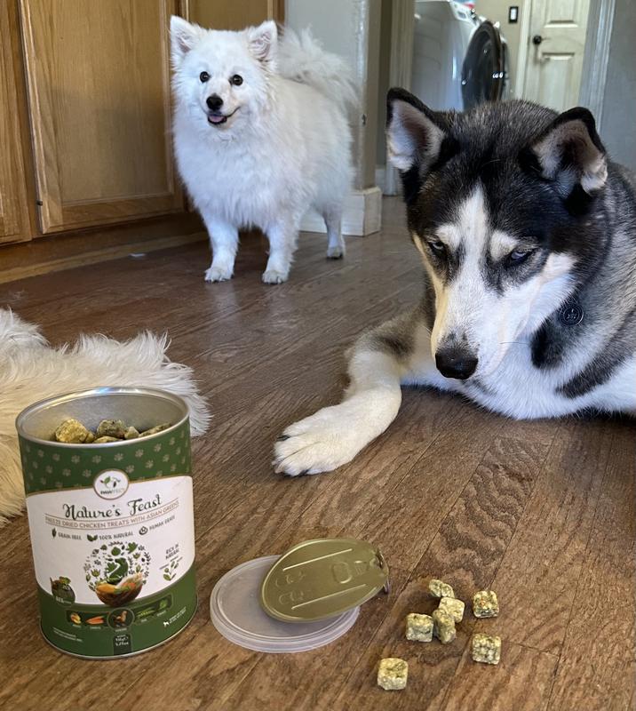 Patiently Waiting For Pawfect Nature's Feast Fresh Treats