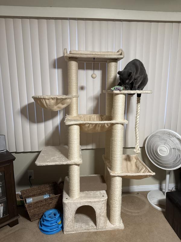 Elliot boy who requires a dog carrier on a platform.