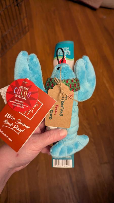 Fluff & Tuff Toy with Thinkers Treat