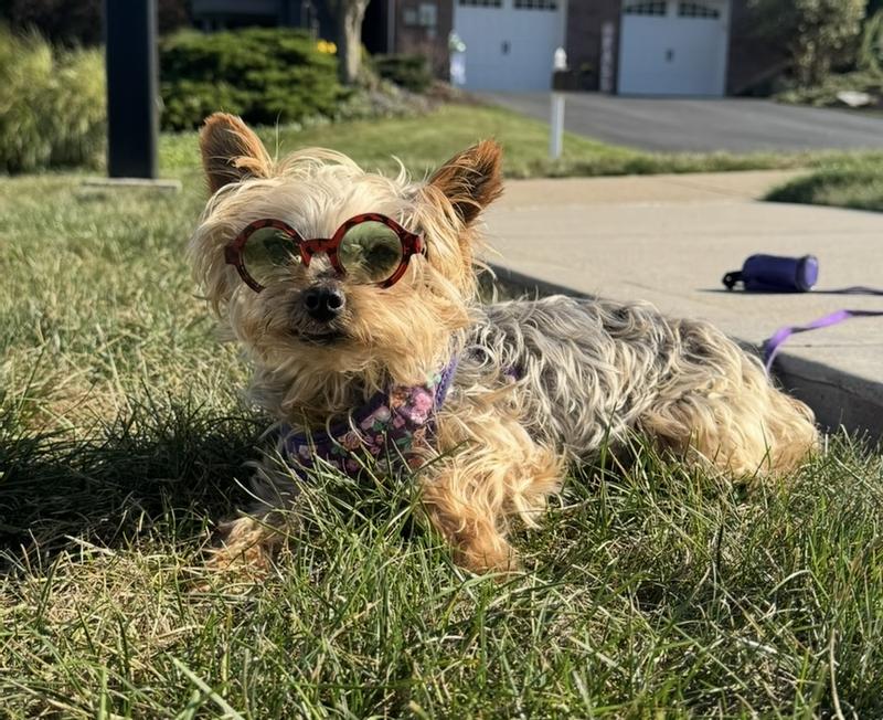 Chillin in the sun 😎