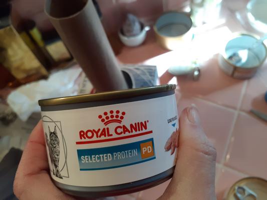 Royal canin on sale pd cat food