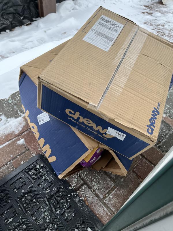 Just couldn’t believe how damaged everything was