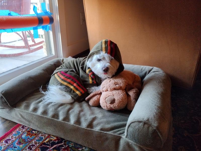 OG track suit for a girl on the move