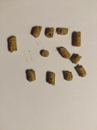 Plastic sticking out of pellets and a couple of plastic bits that I pulled out of pellets.