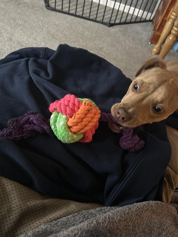 Fist Knot Rope Dog Toy Ball With Handle – Tug & Fetch Toy, Small (15" Long) - View #4
