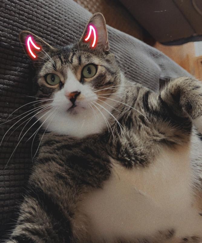 Losing weight and feeling great on this food for his diabetes. His Halloween pic