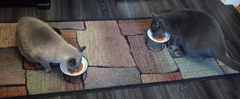 dean and crowley enjoying