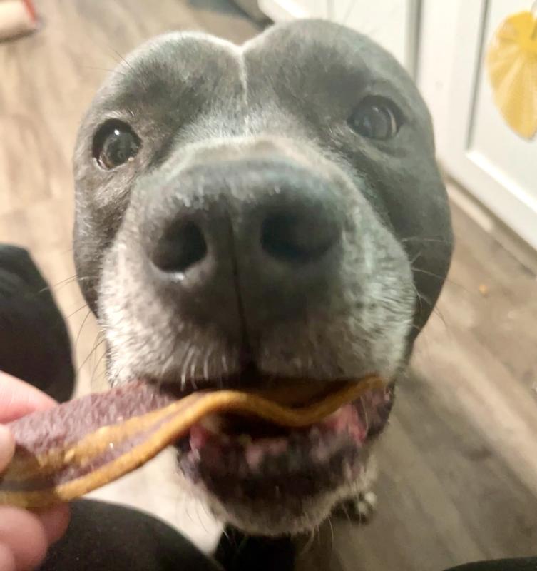 Titan enjoying his treat