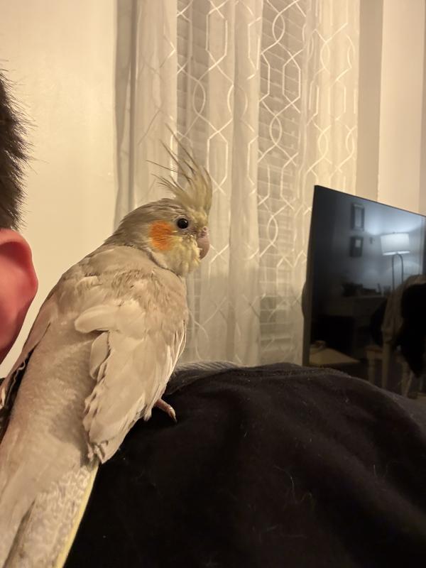 My tiel :)