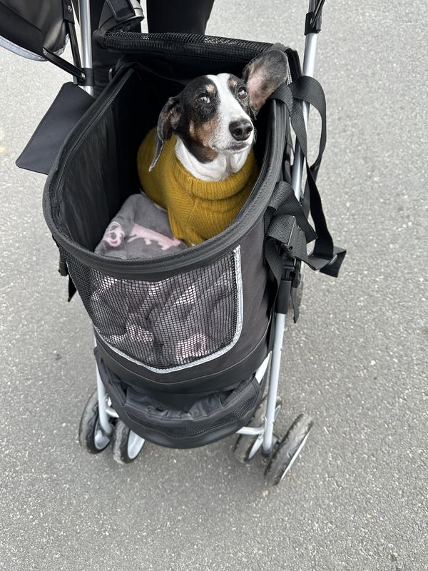snugride stroller graco Graco Merge Travel System (Sable)