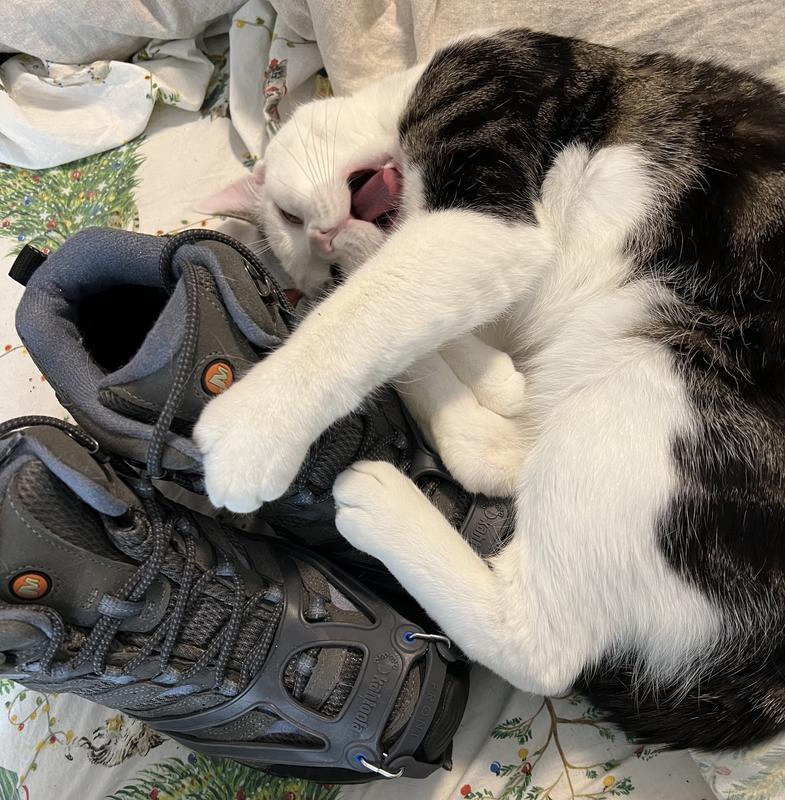 Frosty’s first catnip experience