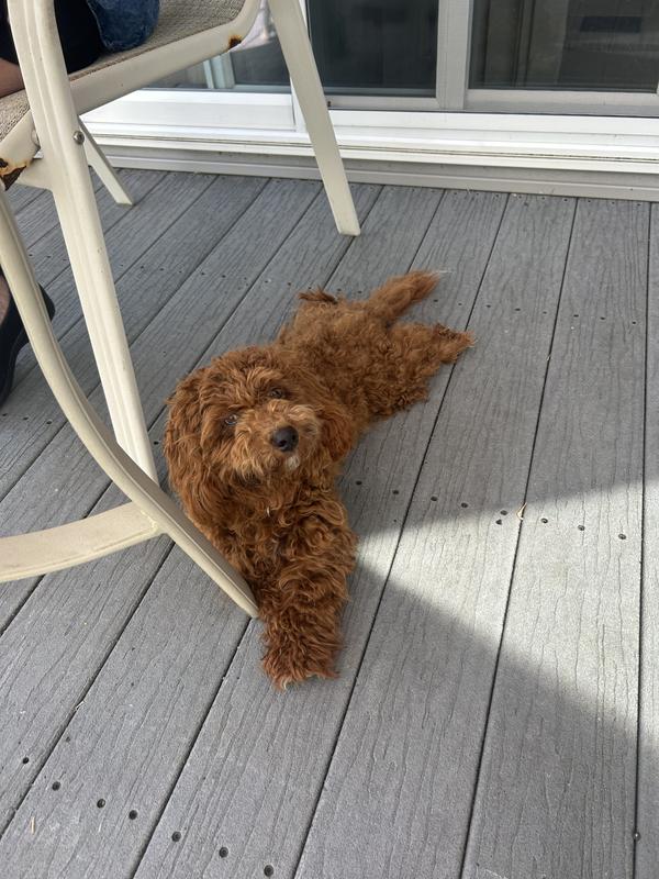 Relaxing after a brain teaser toy