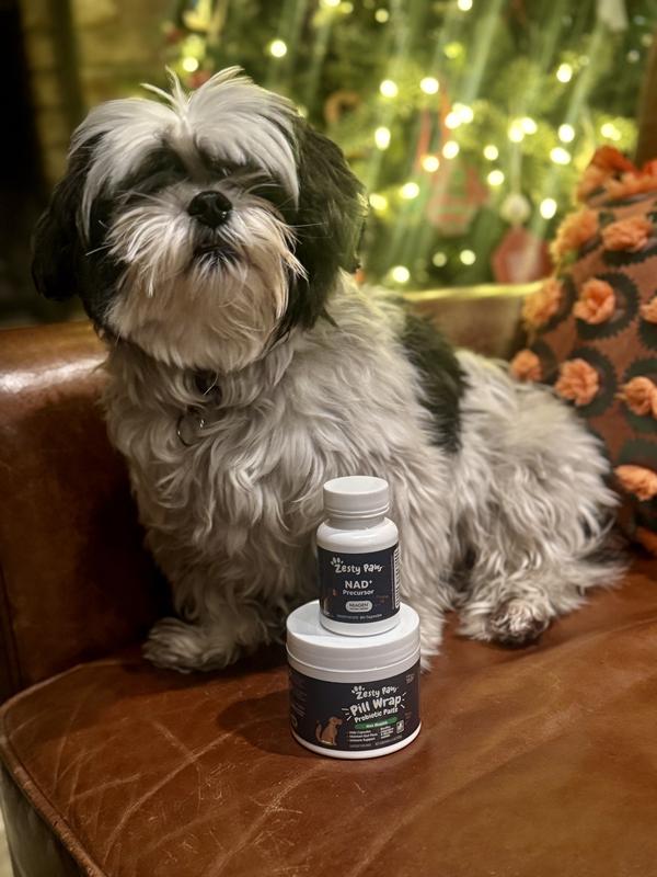 Louie LOVES his Zesty Paws NAD!!!