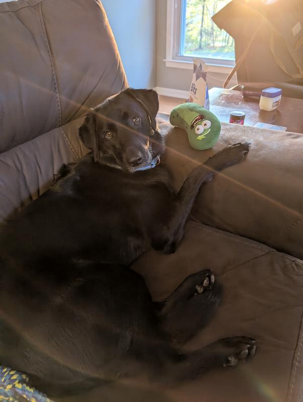 Emma B & Pickle Rick