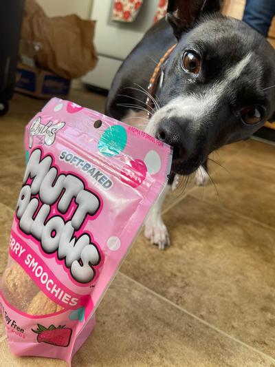 Strawberry Smoochies – The Lazy Dog Cookie Co