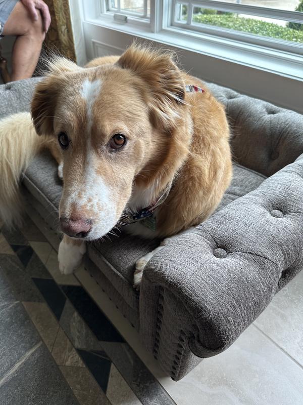 LA-Z-BOY Furniture Sofa Dog Bed, Newton Granite - Chewy.com