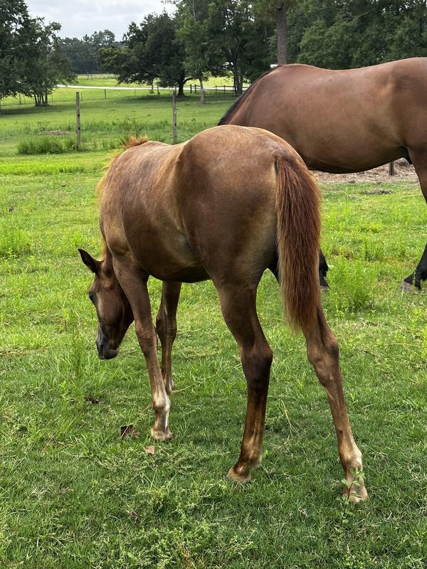 She is filling out nicely.