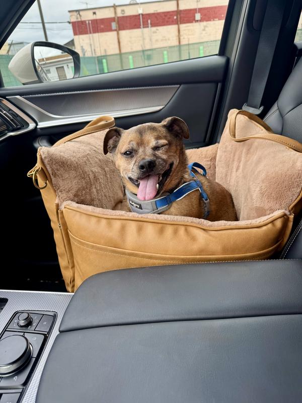 Petey approved with a wink 🐶