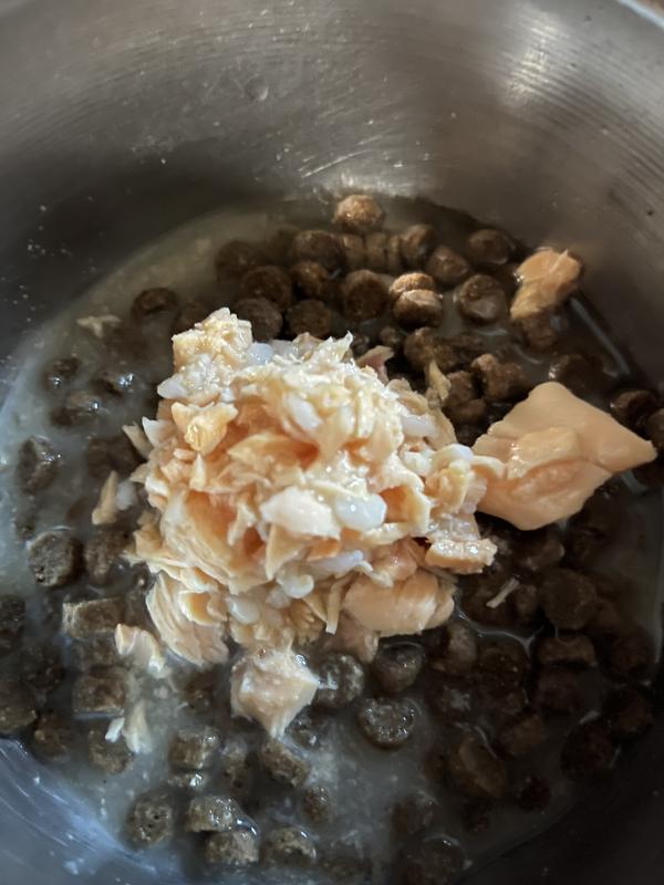 Salmon formula on her regular kibble