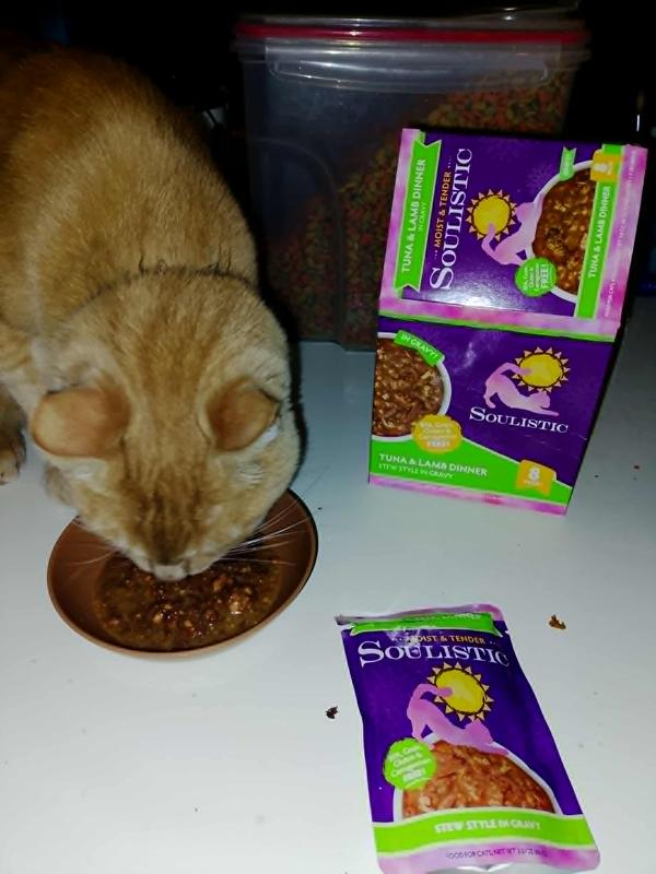 And there is my boy happily eating this!