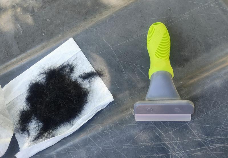 Pile of hair and dander