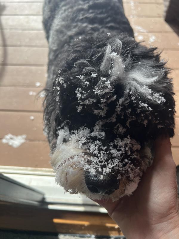 She living the snow!