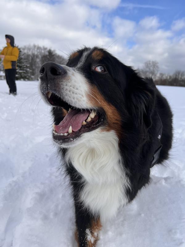 After 2 months of plaque off powder