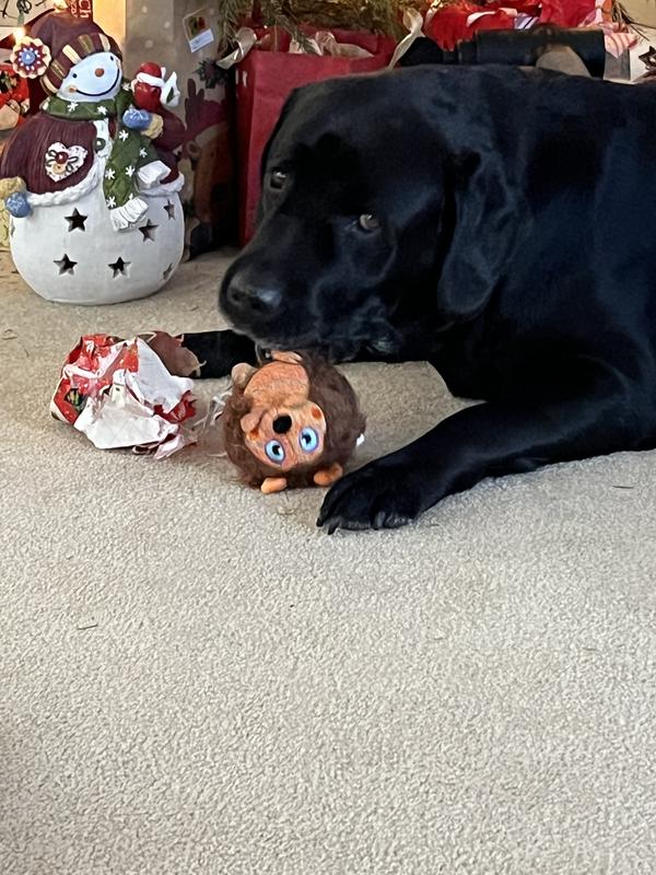 Took and opened his own present from under the Christmas tree