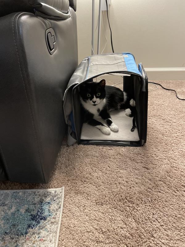 Per Myles I love this.