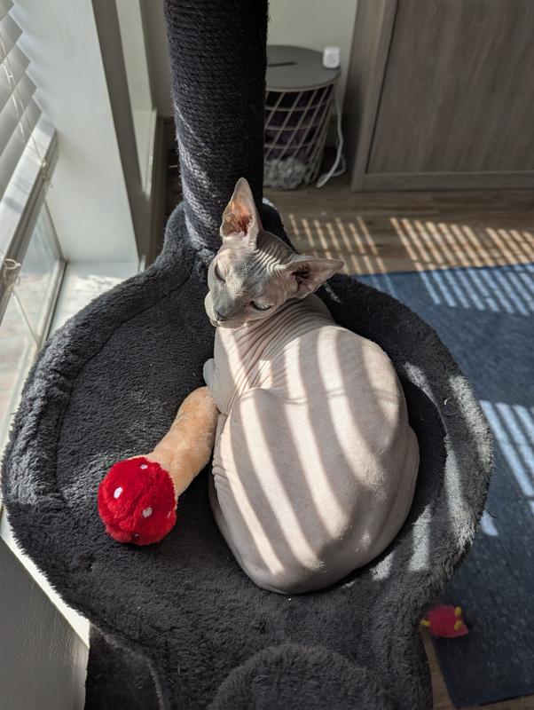 Fun guy with a fungi