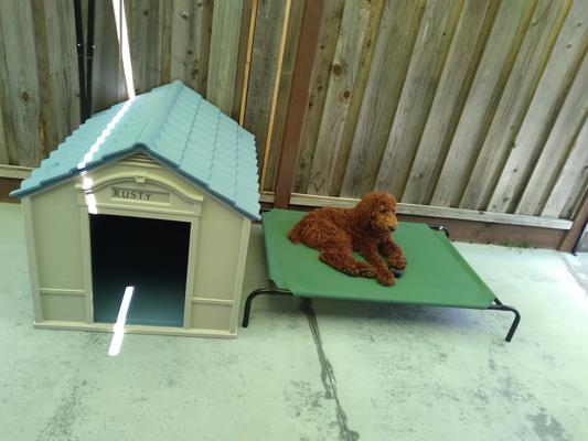 Suncast deluxe hot sale dog house