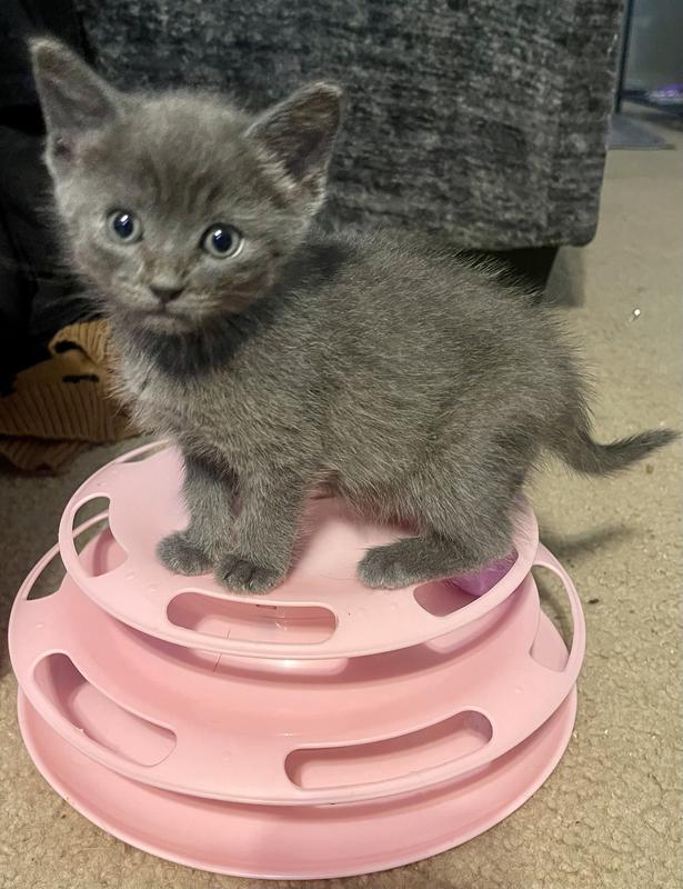 Little Smokey Bear on his favorite toy!
