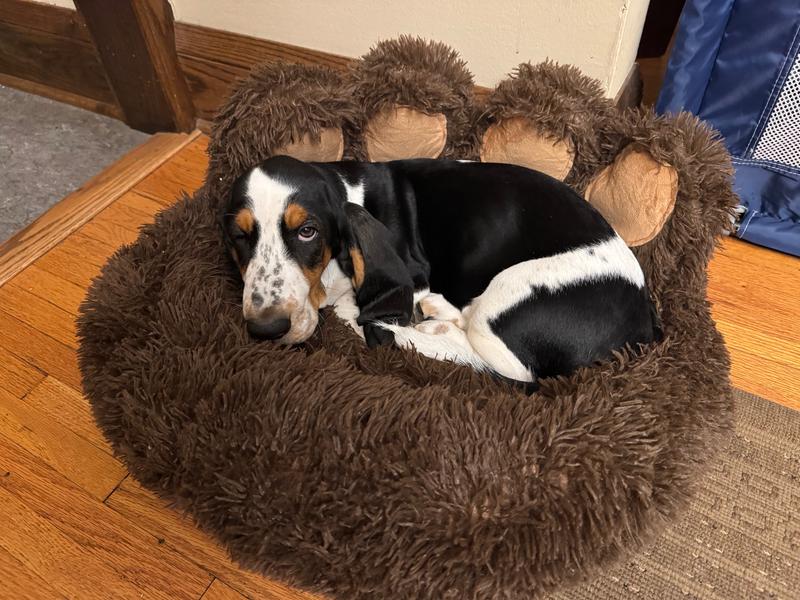 One satisfied customer