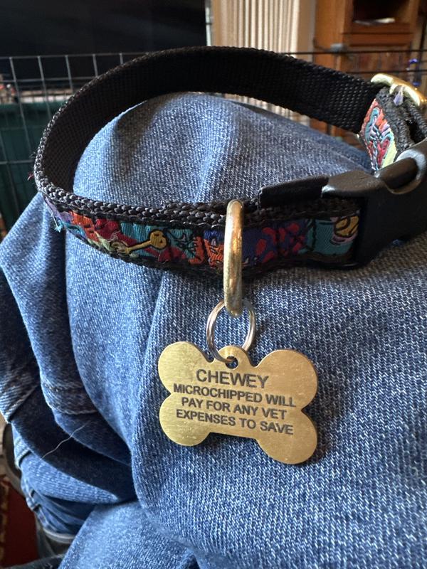 It lost I really wanted people to know that I would pay for the veterinary care to save her life and that was provided on the tag l