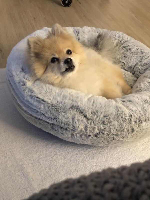 The new bed is accepted