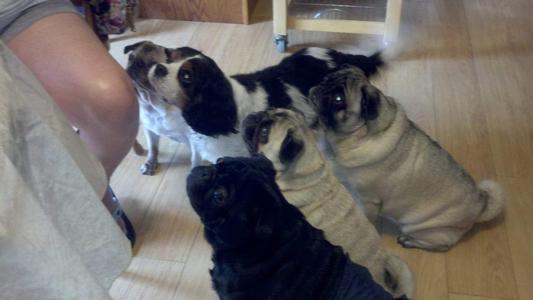 Our babies.