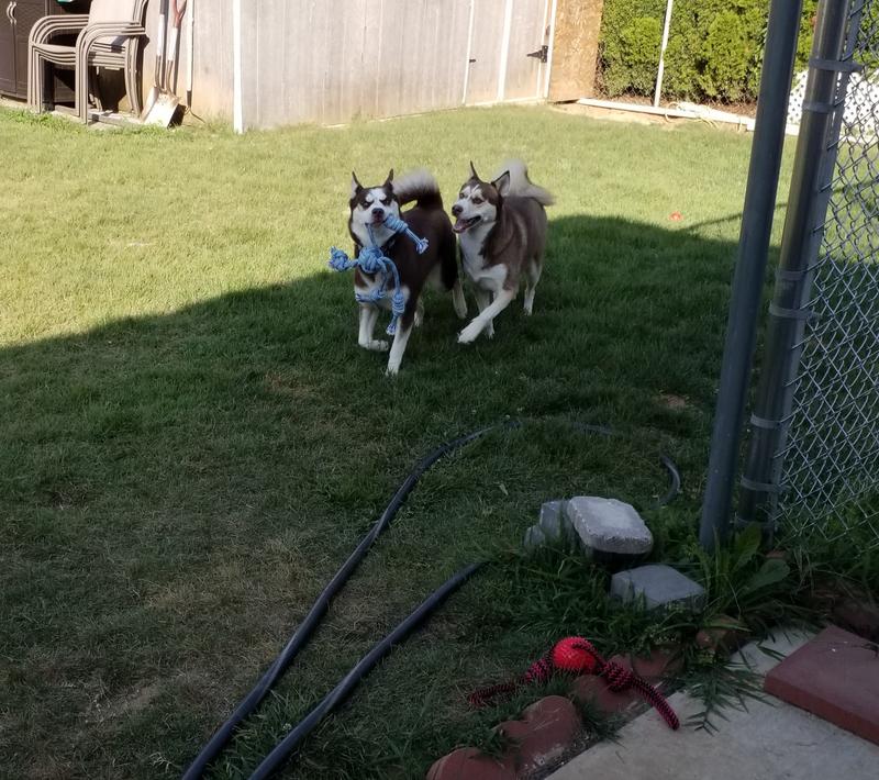 I got it first!