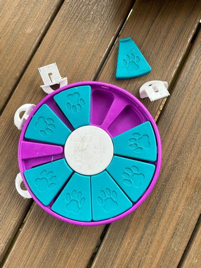 Best Interactive Dog Toy and Puzzle Game – Dog Twister - Whole Dog Journal