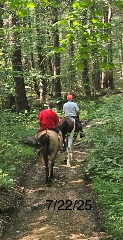 Keeping our horses fight parasites
