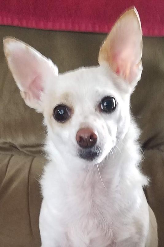 Roxy was my best friend
